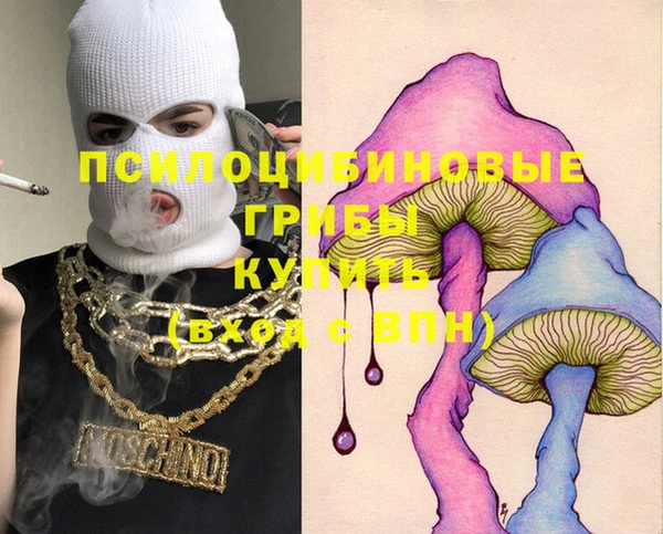 тгк Кулебаки