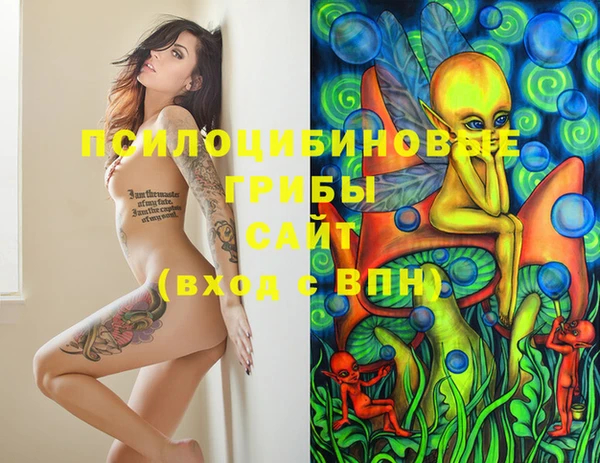 шишки Кукмор