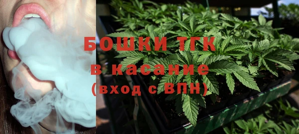 шишки Кукмор
