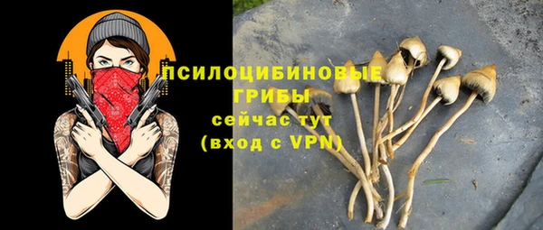 прущая мука Куйбышев
