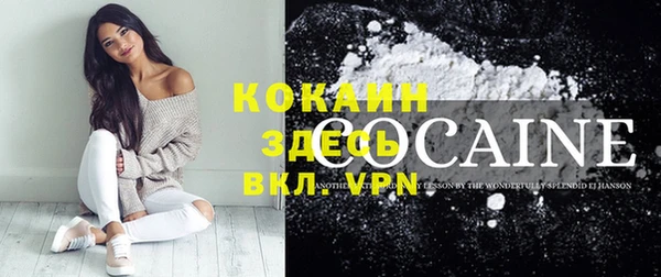 шишки Кукмор