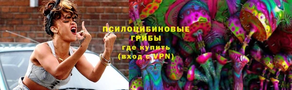 шишки Кукмор
