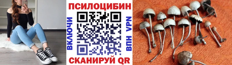 Псилоцибиновые грибы Cubensis  дарк нет Telegram  Краснокамск 