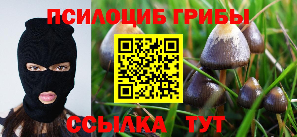 Краснокамск  Галлюциногенные грибы Cubensis  Вход с VPN 